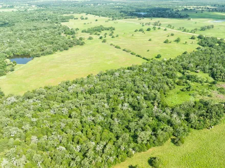 Bubela Real Estate in Schulenburg, TX (6)