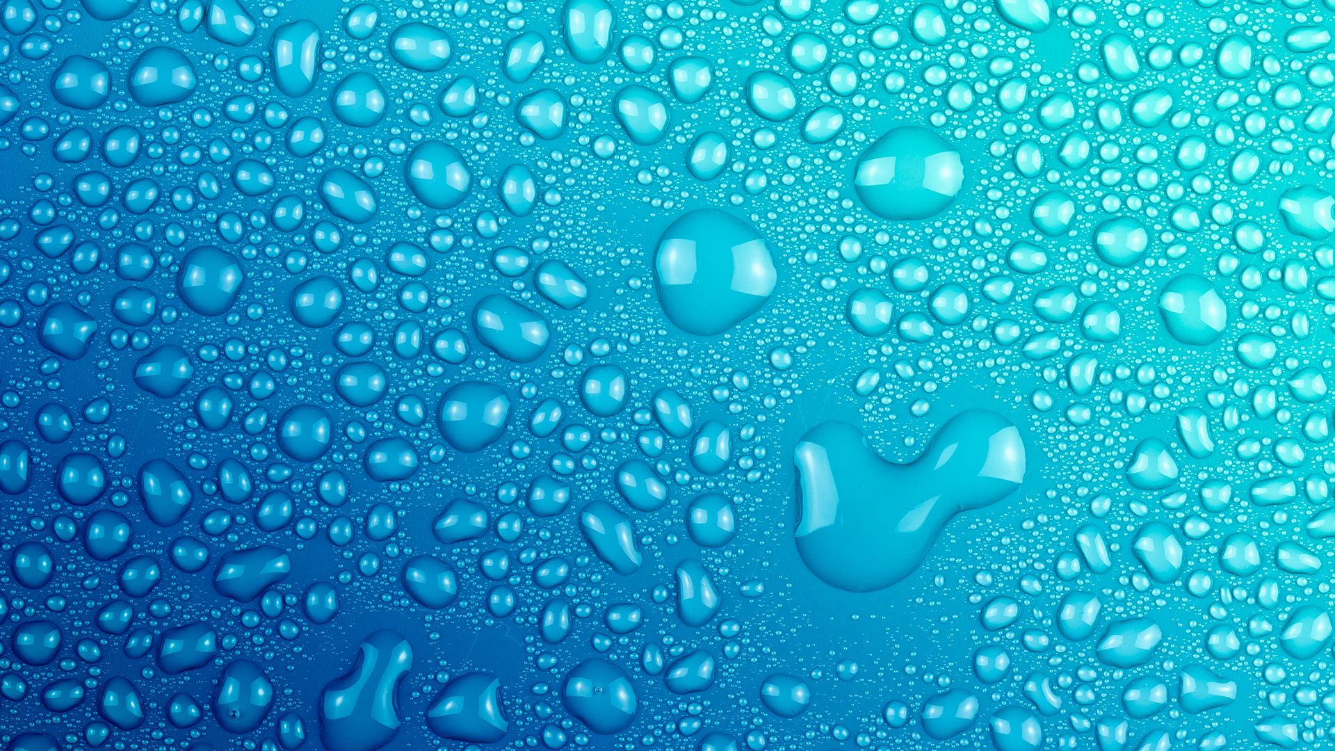 Pro House Wash of Augusta in Gracewood, GA (3)