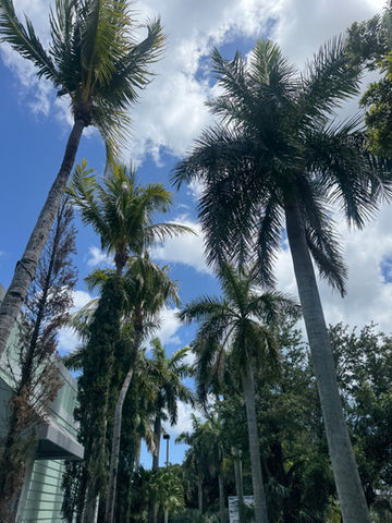 Jupiter Inlet Car Wash in Jupiter, FL (5)
