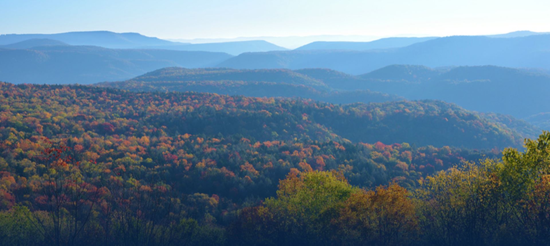 Bailess Law Firm in Charleston, WV (4)