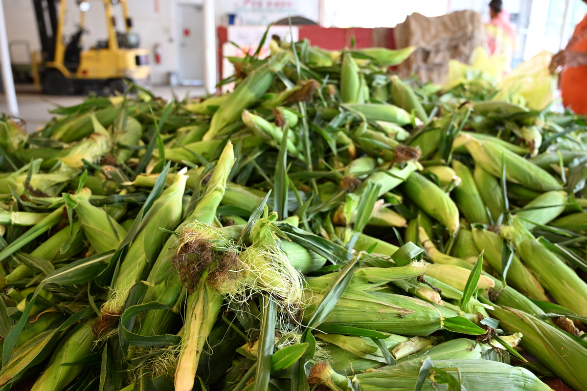 Kutchey Family Market in Warren, MI (3)