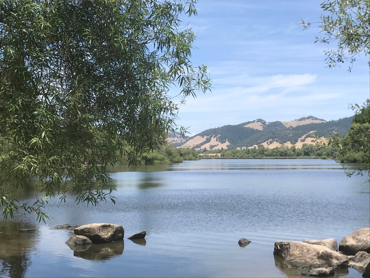 Taylor Real Estate Team in Petaluma, CA (2)