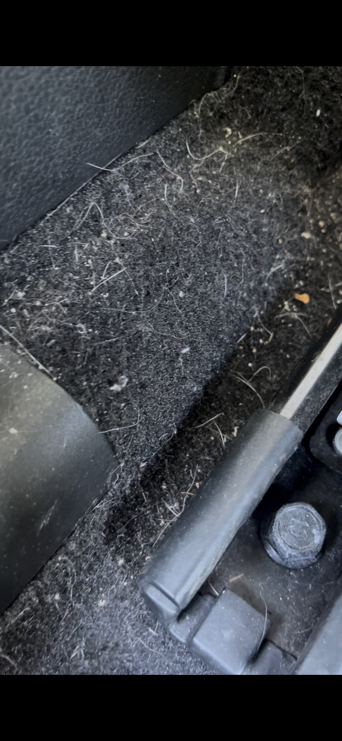 Wipe Down Detailing LLC in Suisun City, CA (3)