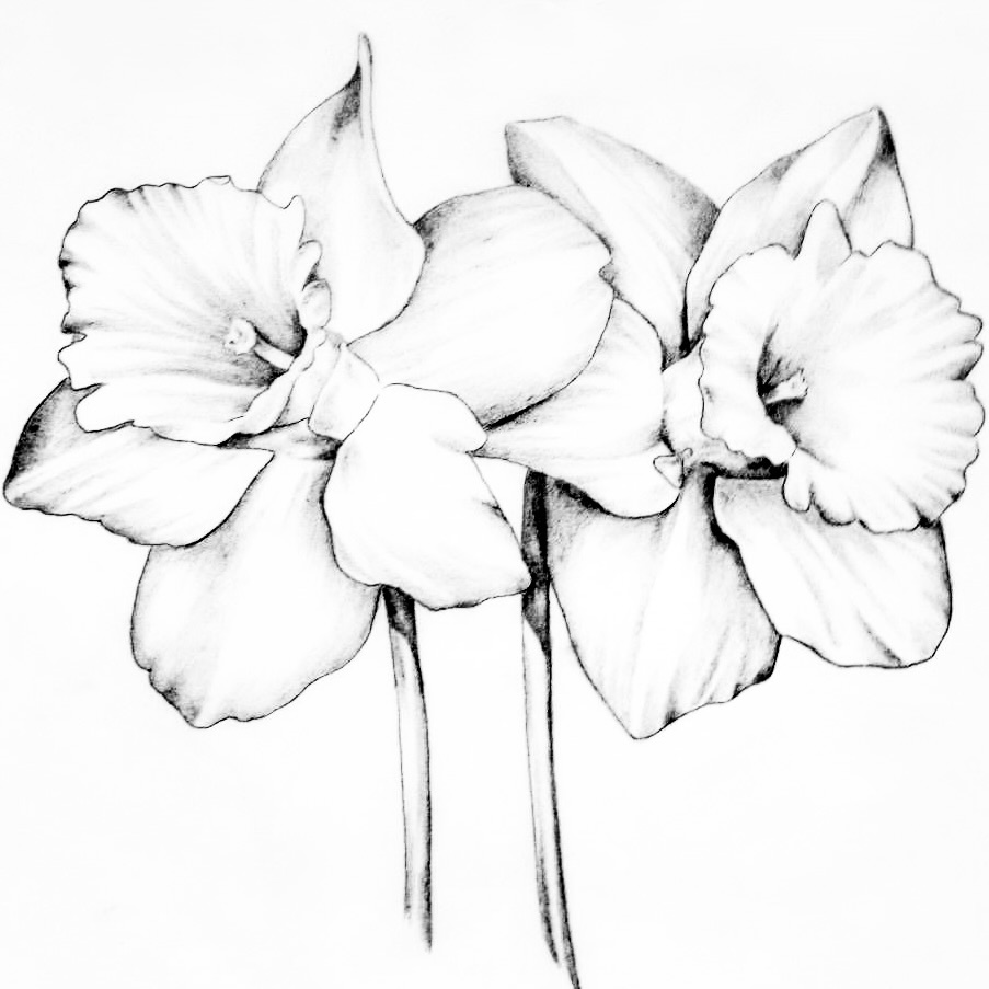Modern Law Office of Amier Carmel, Psya.D., Esq., LLC in Cliffside Park, NJ (2)