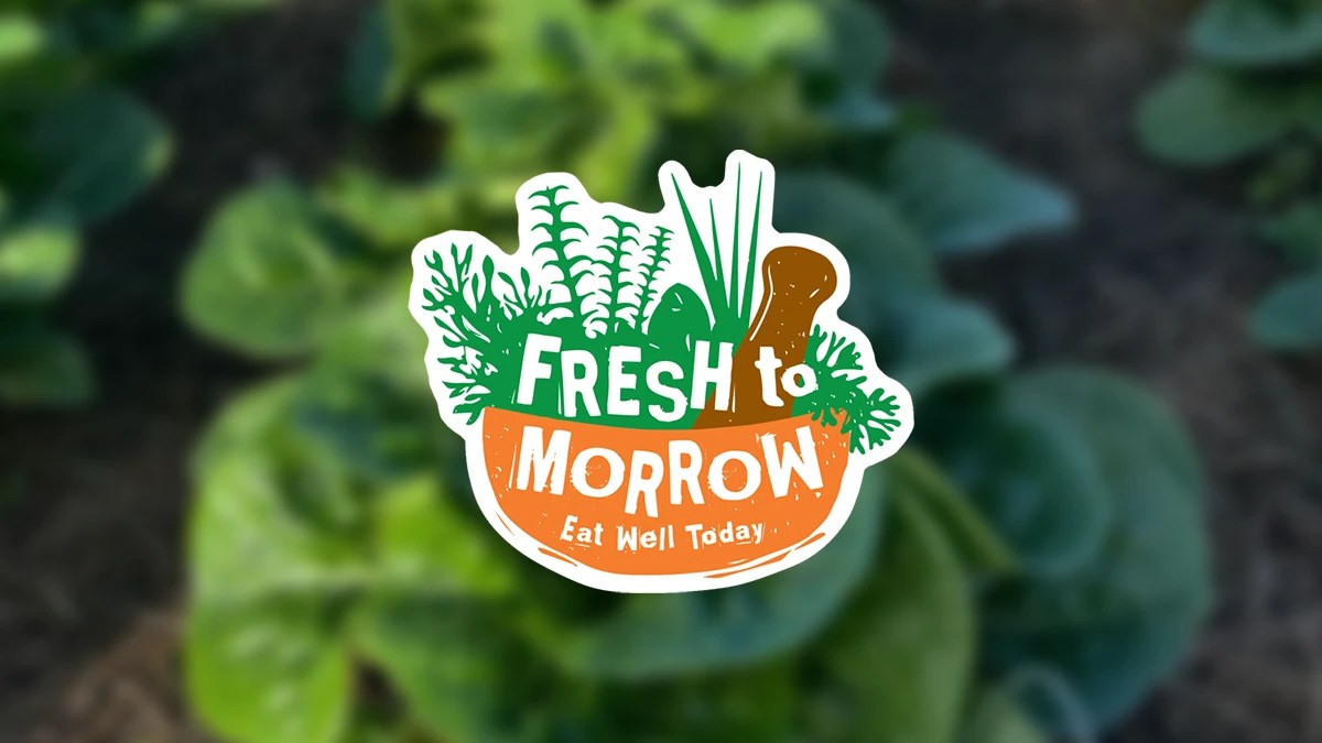 Fresh to Morrow in Morrow, OH (4)