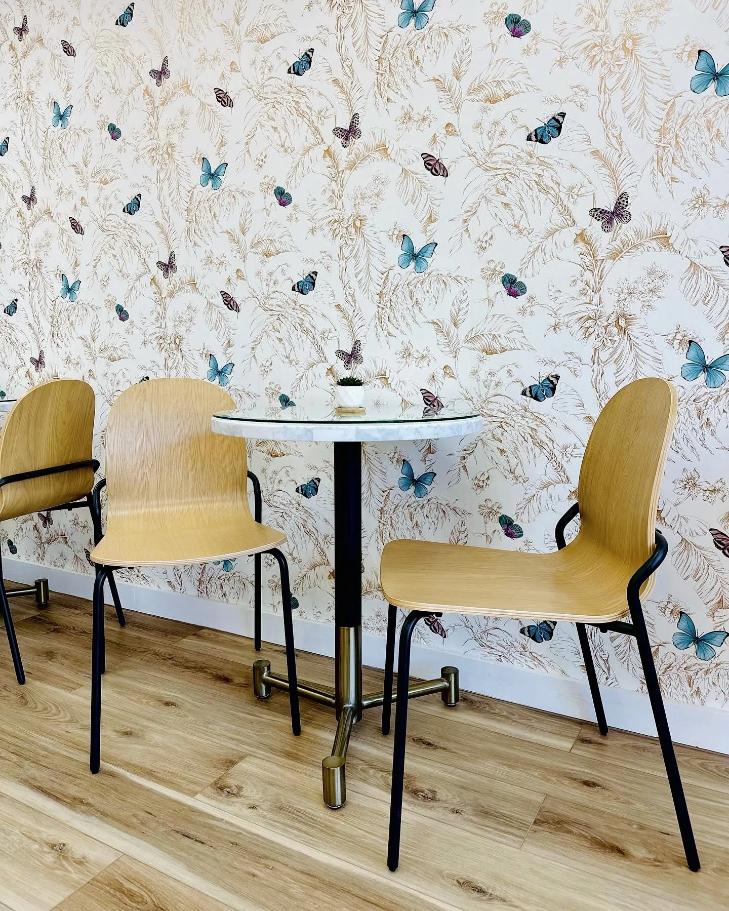 Amy and Alex’s Homemade Ice Cream and Coffee in Shepherdstown, WV (2)