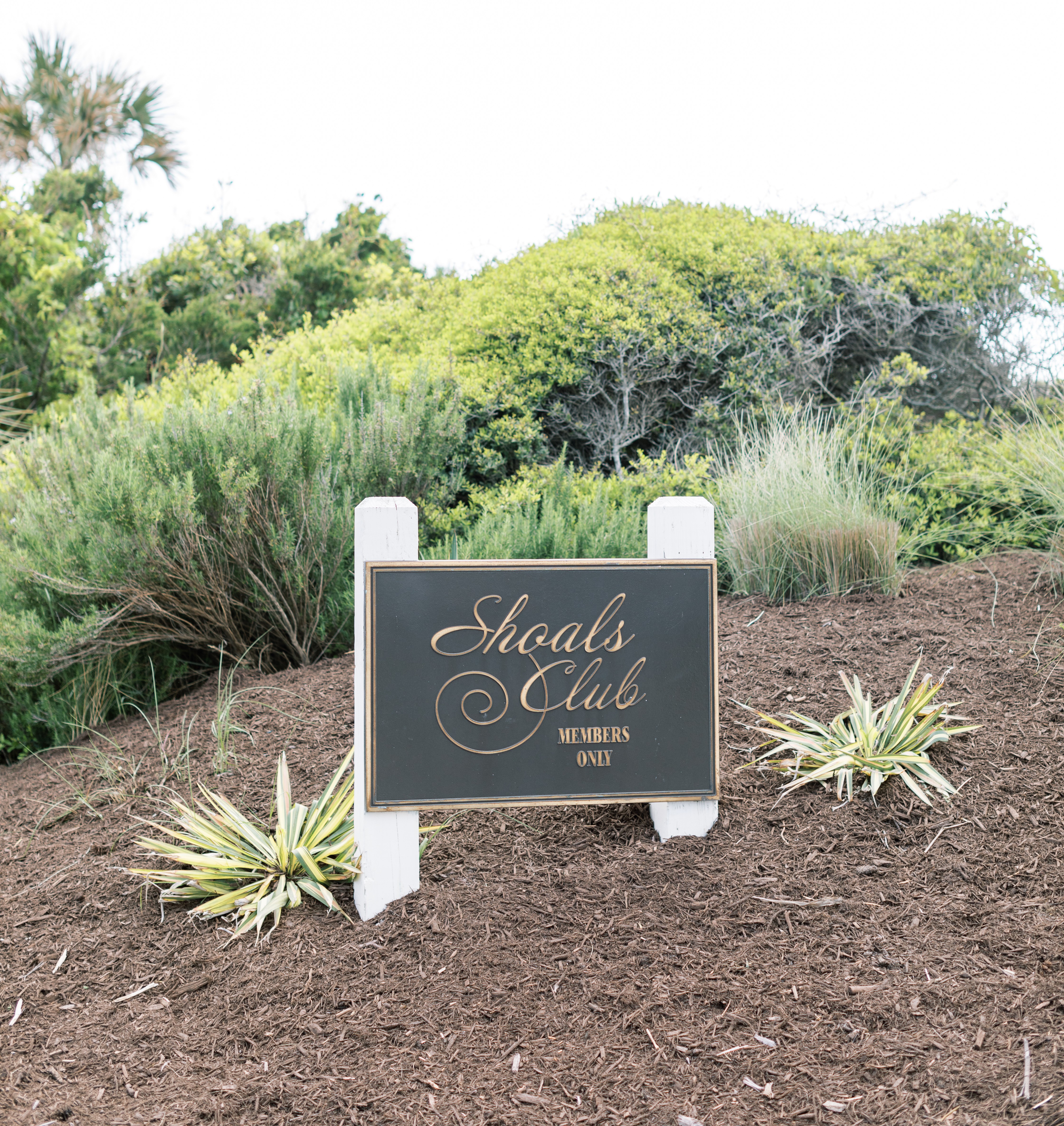 Shoals Club in Bald Head Island, NC (2)