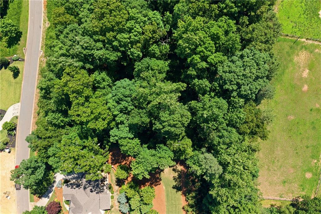 The Jenny Doyle Group- Realtor, Atlanta Fine Homes Sotheby's in Milton, GA (2)
