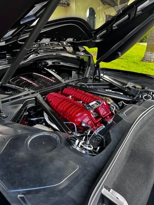 Mathews Premium Detailing in Mirando City, TX (6)