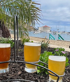Catalina Island Brew House in Avalon, CA (2)