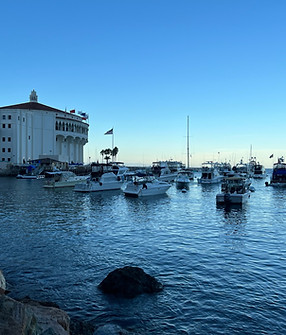 Catalina Island Brew House in Avalon, CA (4)
