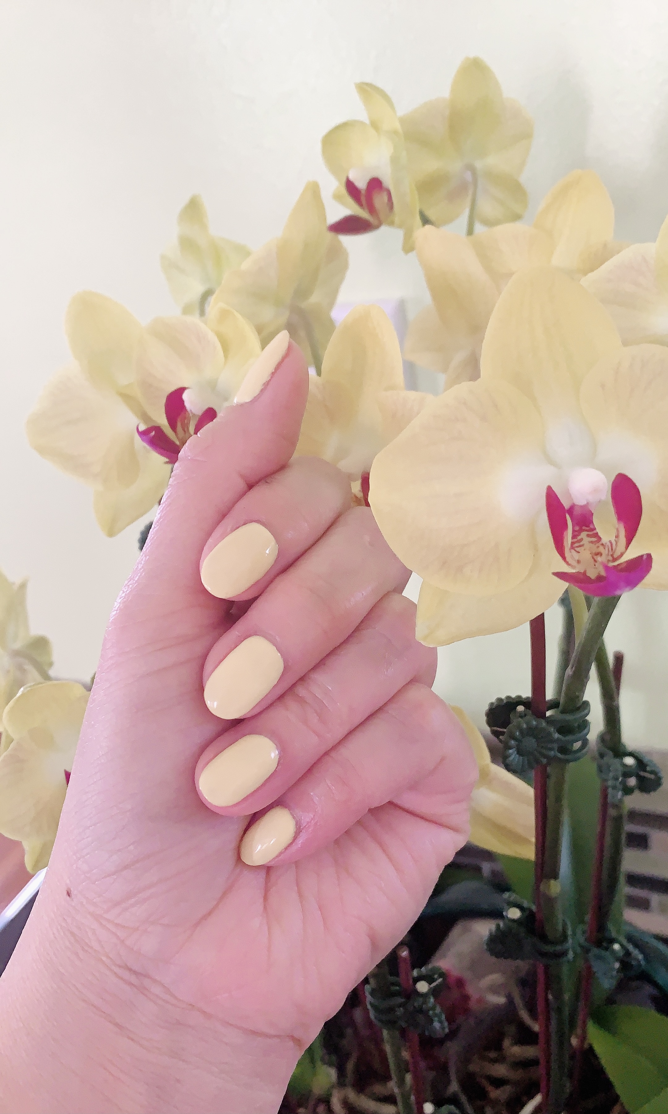 Indulgence Nail Garden 53597 in Waunakee, WI