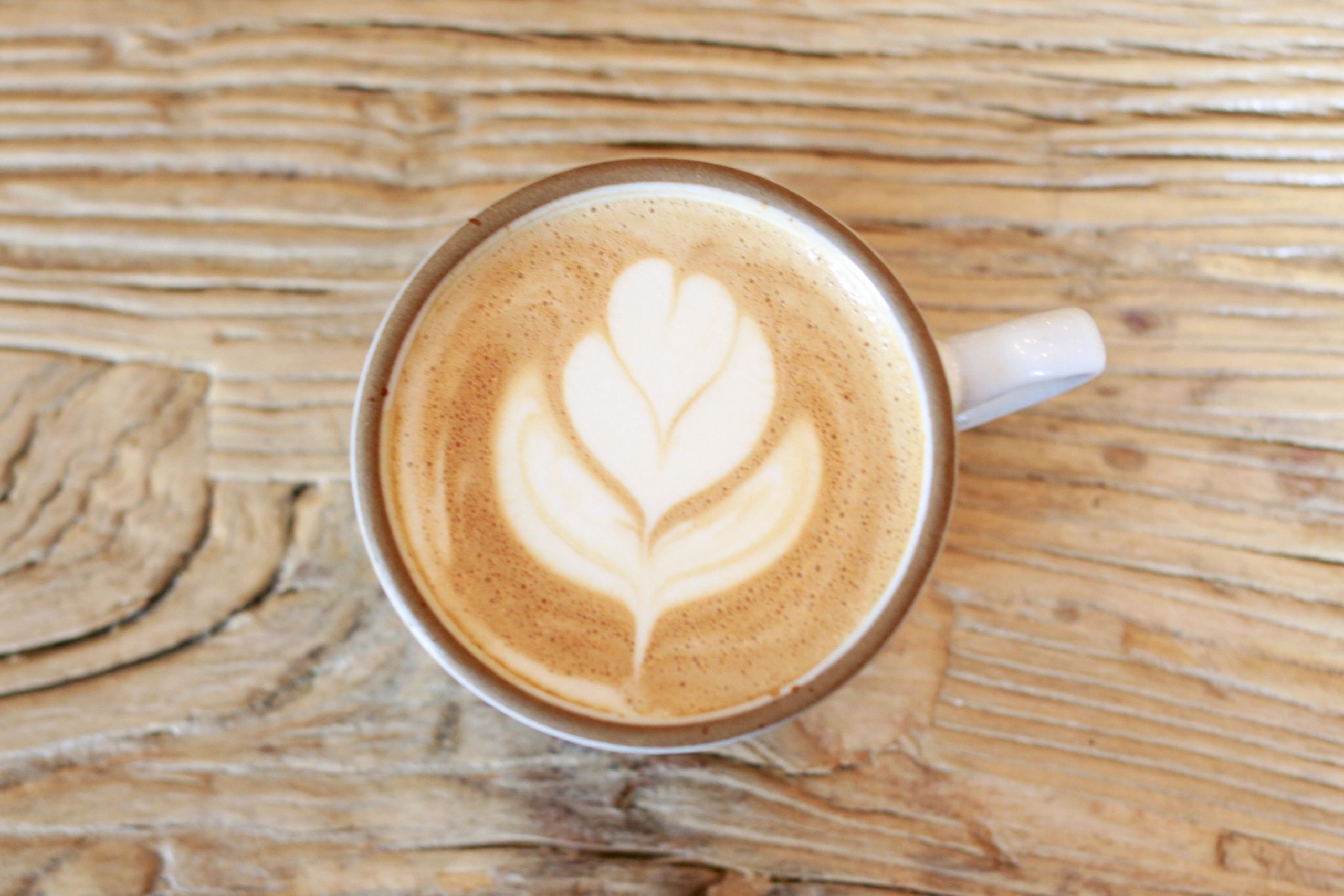 Good Seed Coffee Boutique in Solvang, CA