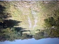 Circle 3 Ranch Real Estate LLC in George West, TX (2)