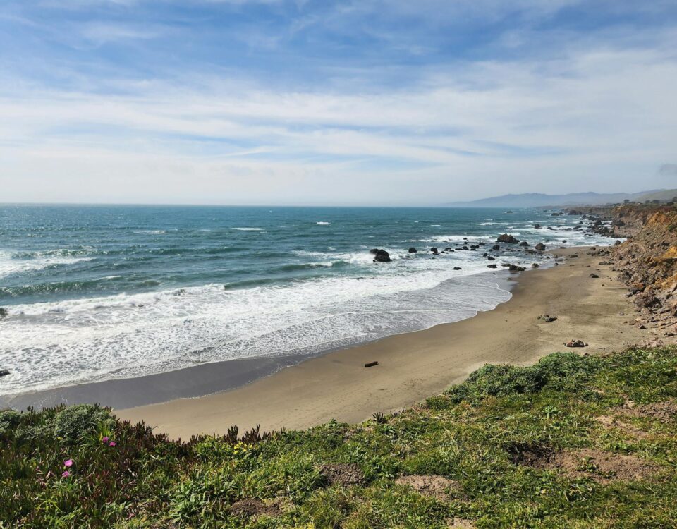 Crystal Clear Home- An Eco-friendly Cleaning Service in Sebastopol, CA (2)