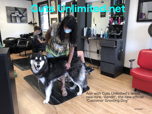 Unlimited in Williamsport, PA