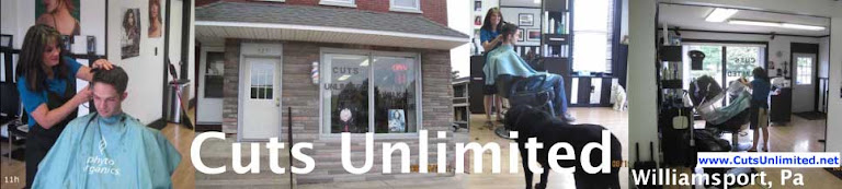 Unlimited in Williamsport, PA (3)