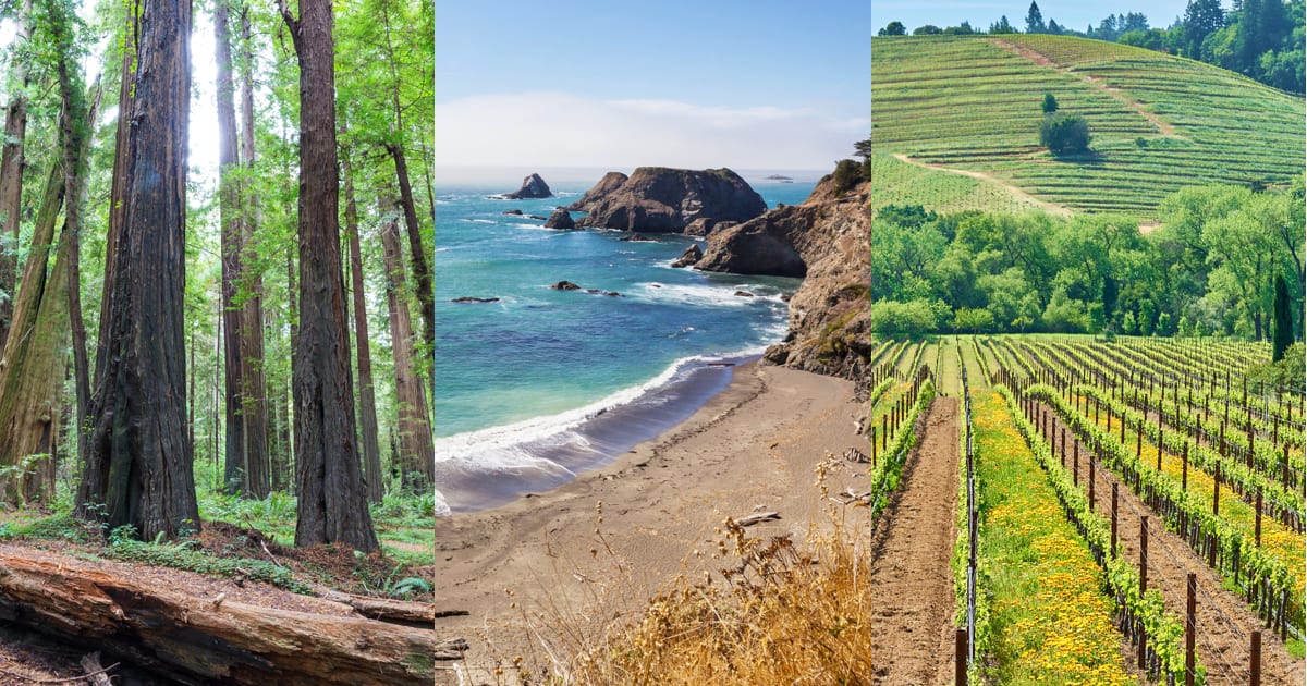Torkelson & Associates CPAs, LLP in Petaluma, CA