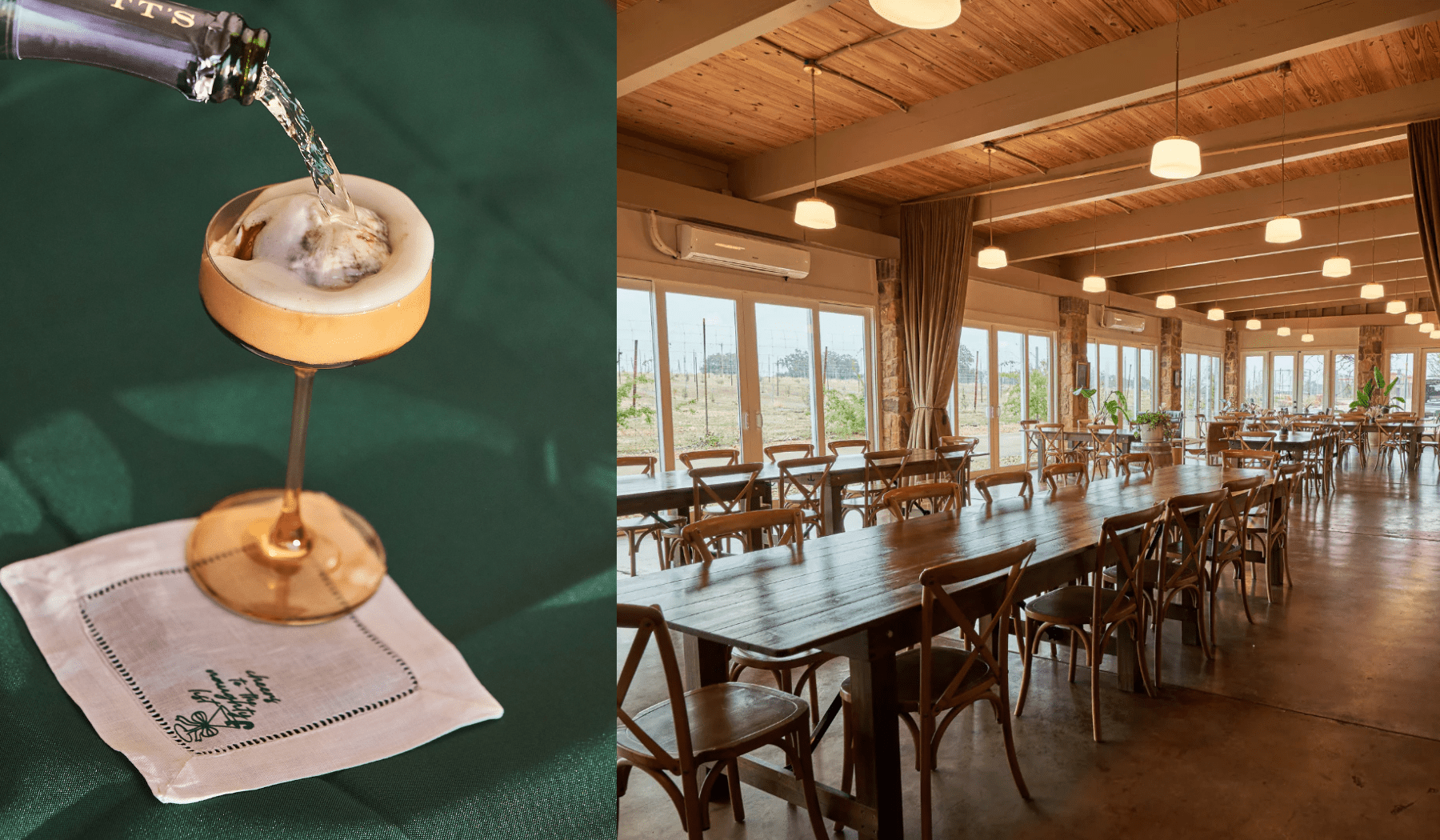 Texas Hill Country Olive Co. in Dripping Springs, TX (4)