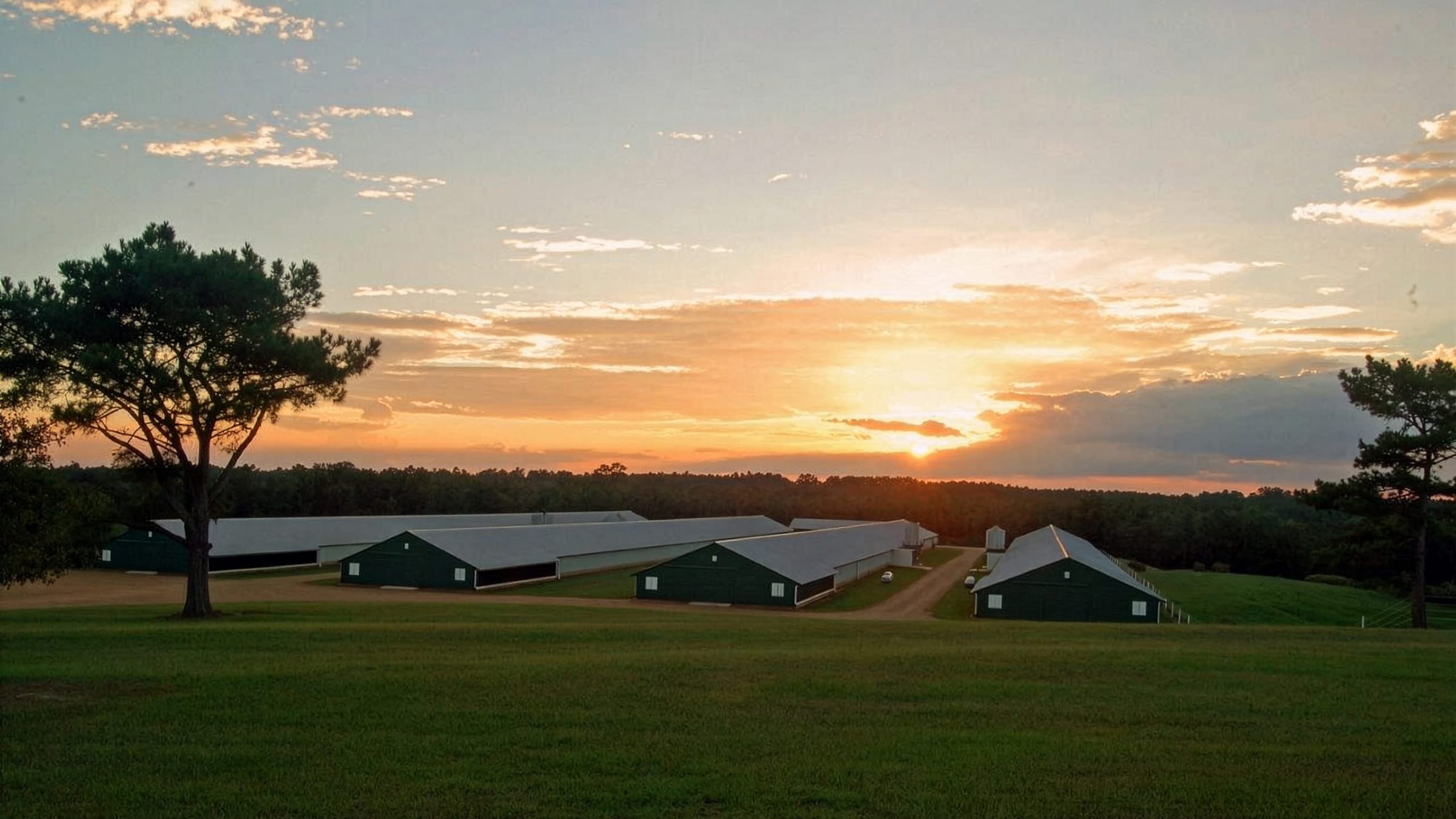 Sanderson Farms Palestine Processing Plant in Palestine, TX (2)