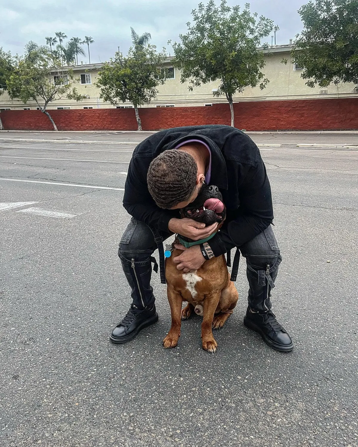 Kingdom K9 Poway in Poway, CA (2)
