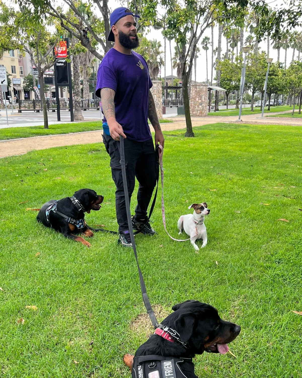 Kingdom K9 Poway in Poway, CA (3)
