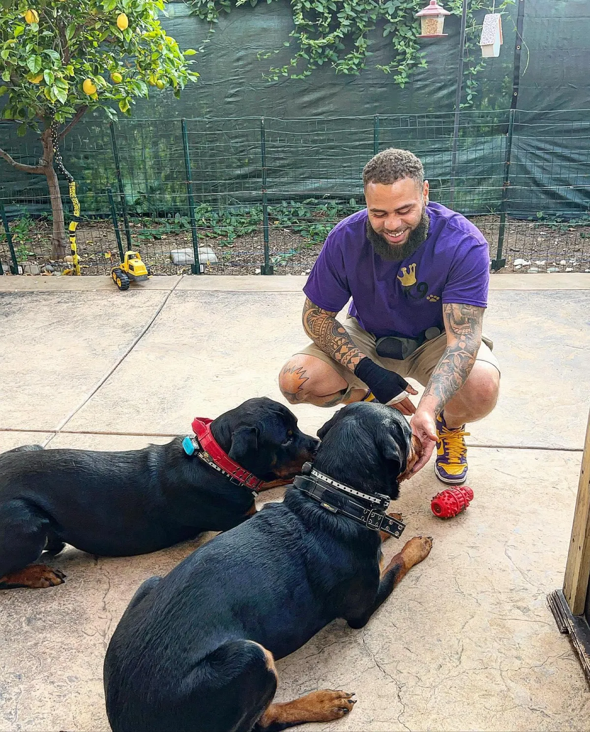 Kingdom K9 Poway in Poway, CA (5)