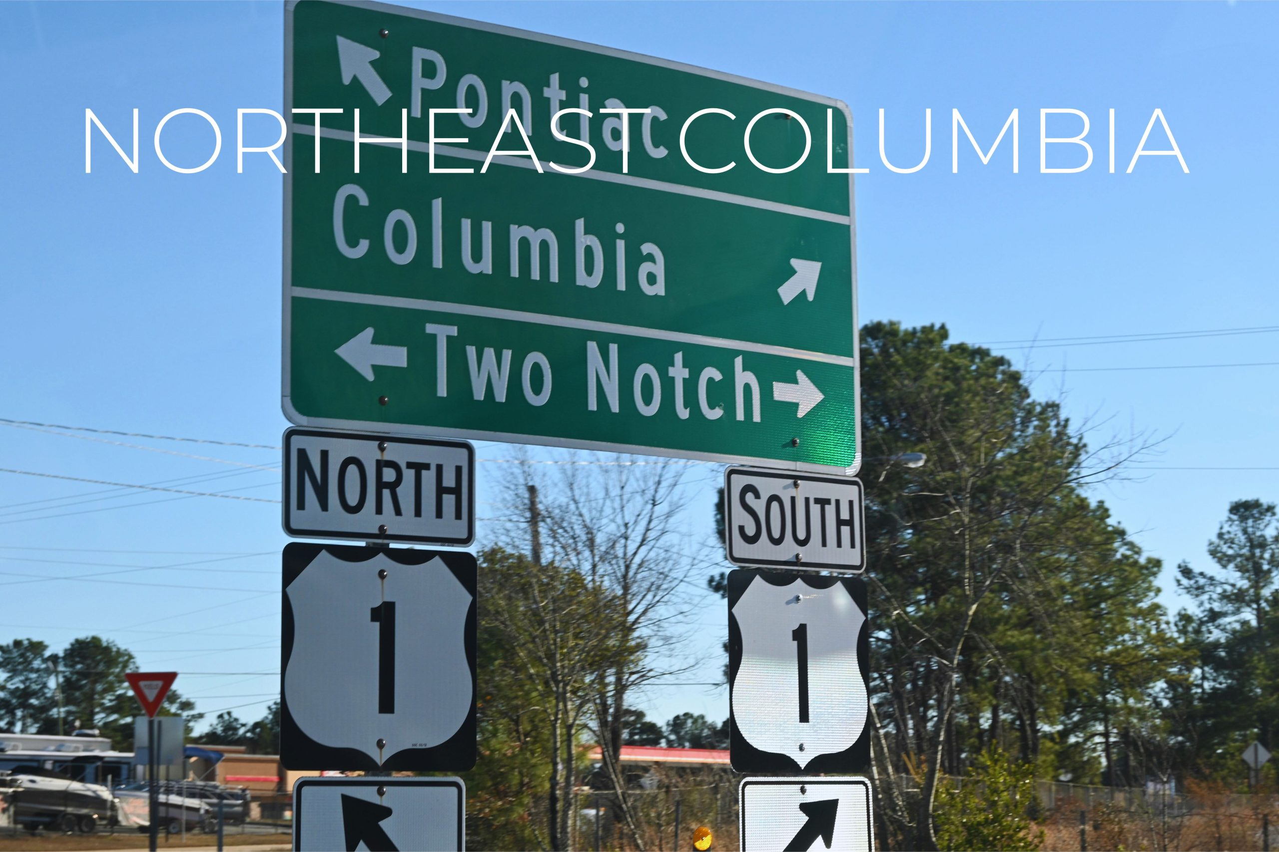 Nicole & McKenna Davis, Real estate agents in Columbia SC | The Davis Team in Elgin, SC (5)