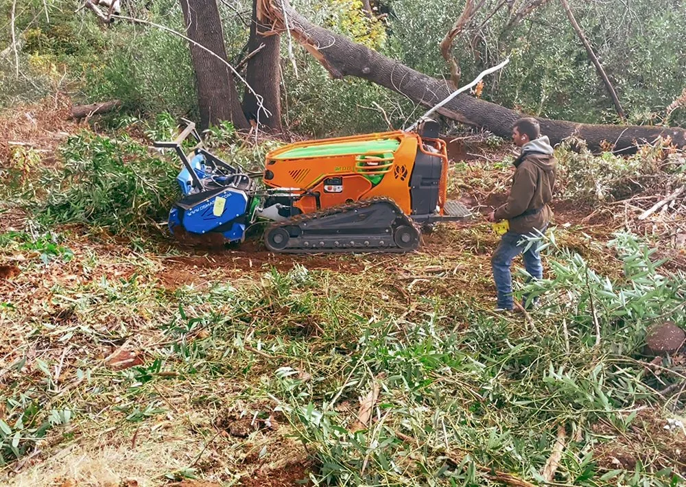 Crossfire Tree & Vegetation Services in Forest Ranch, CA