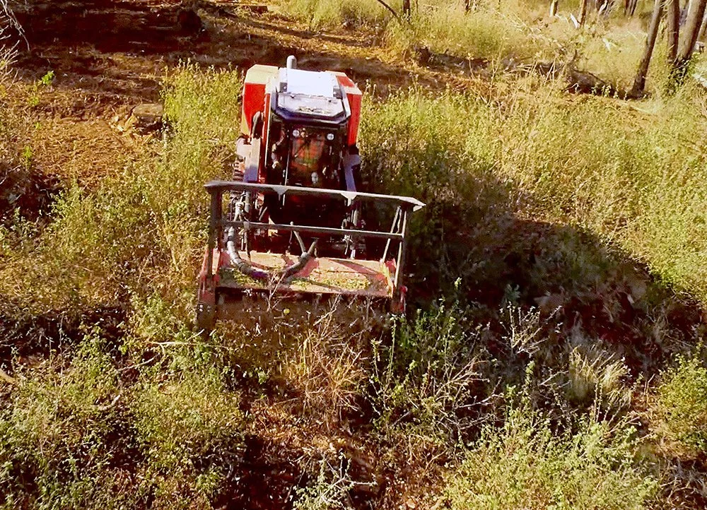 Crossfire Tree & Vegetation Services in Forest Ranch, CA (2)