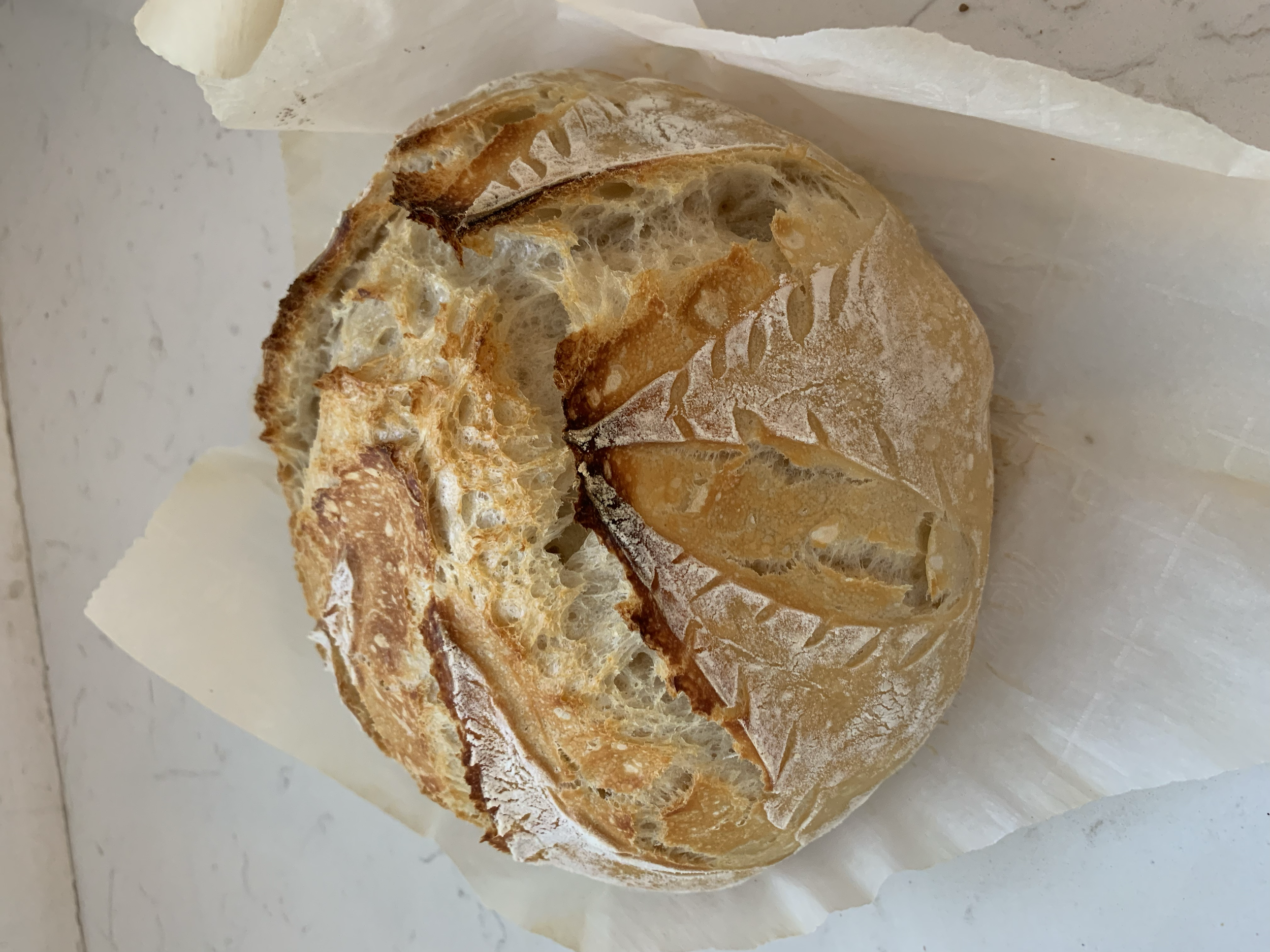 Bread & Bee Bakery in Savannah, GA (2)