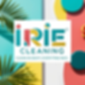 Spotless House Cleaning Frisco | House Cleaning Service Frisco in Frisco, TX (5)