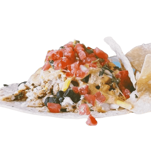 Neo Burrito in Asheville, NC