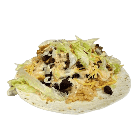 Neo Burrito in Asheville, NC (3)