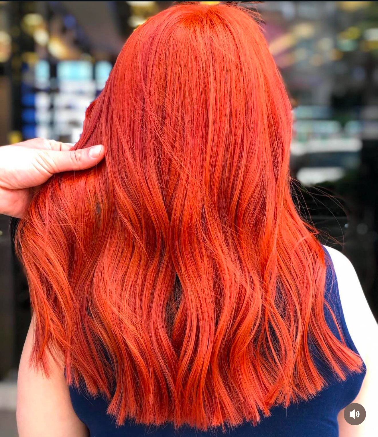 Hair Fornia in Burlingame, CA