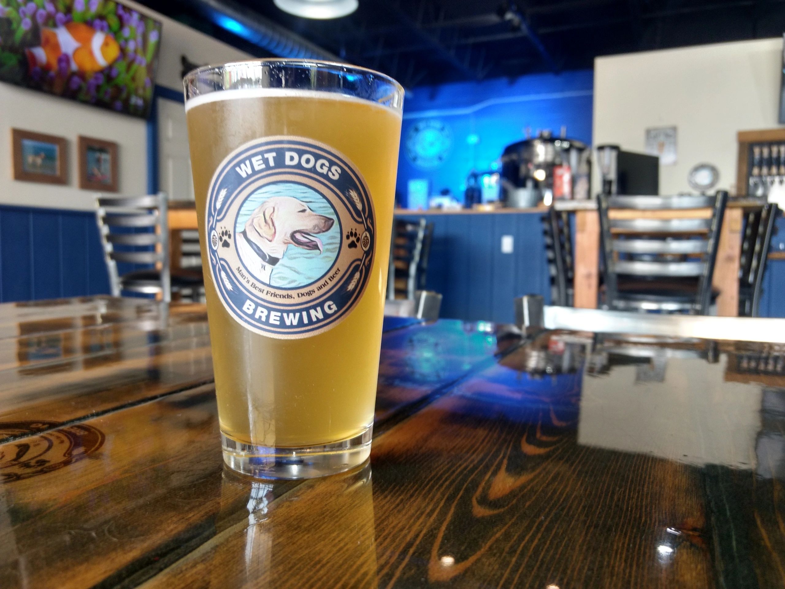 Wet Dogs Brewing in Lake Placid, FL