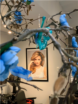 Salon520 in West Nyack, NY (2)