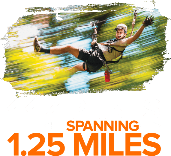 The Gorge Zipline in Saluda, NC (5)