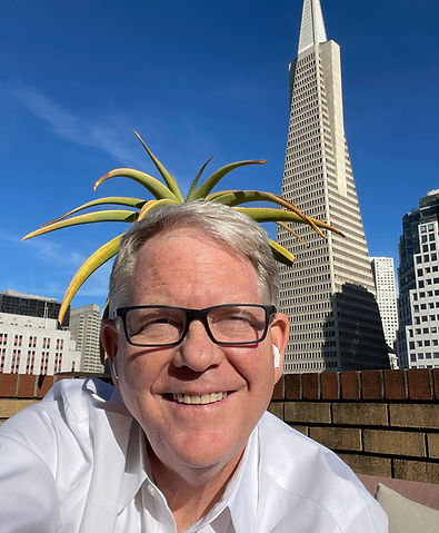 Spiller Law in San Francisco, CA (6)