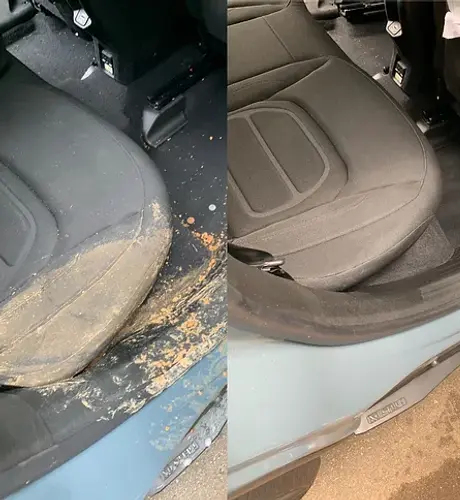 Elite Detailing in Boonville, IN (4)