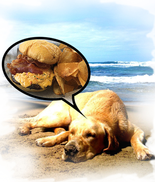 SurfDog Bites & Brews in Surf City, NC