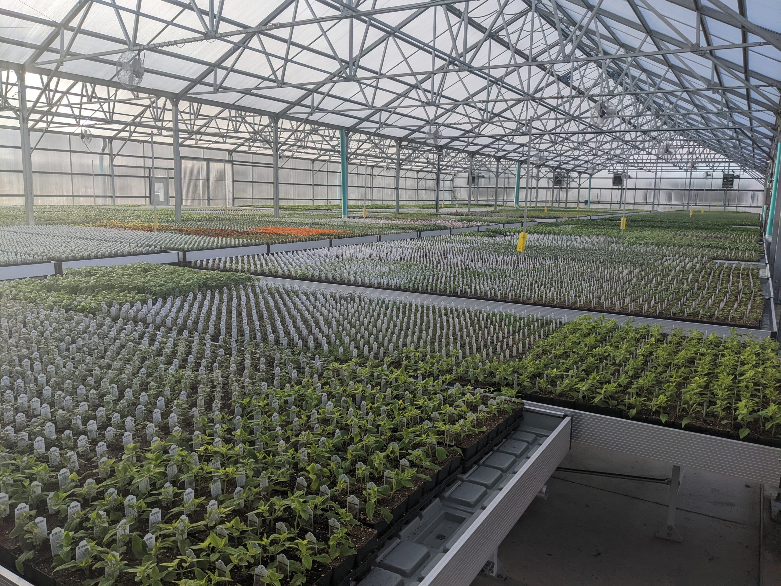 West Star Organics in Cottage Grove, WI