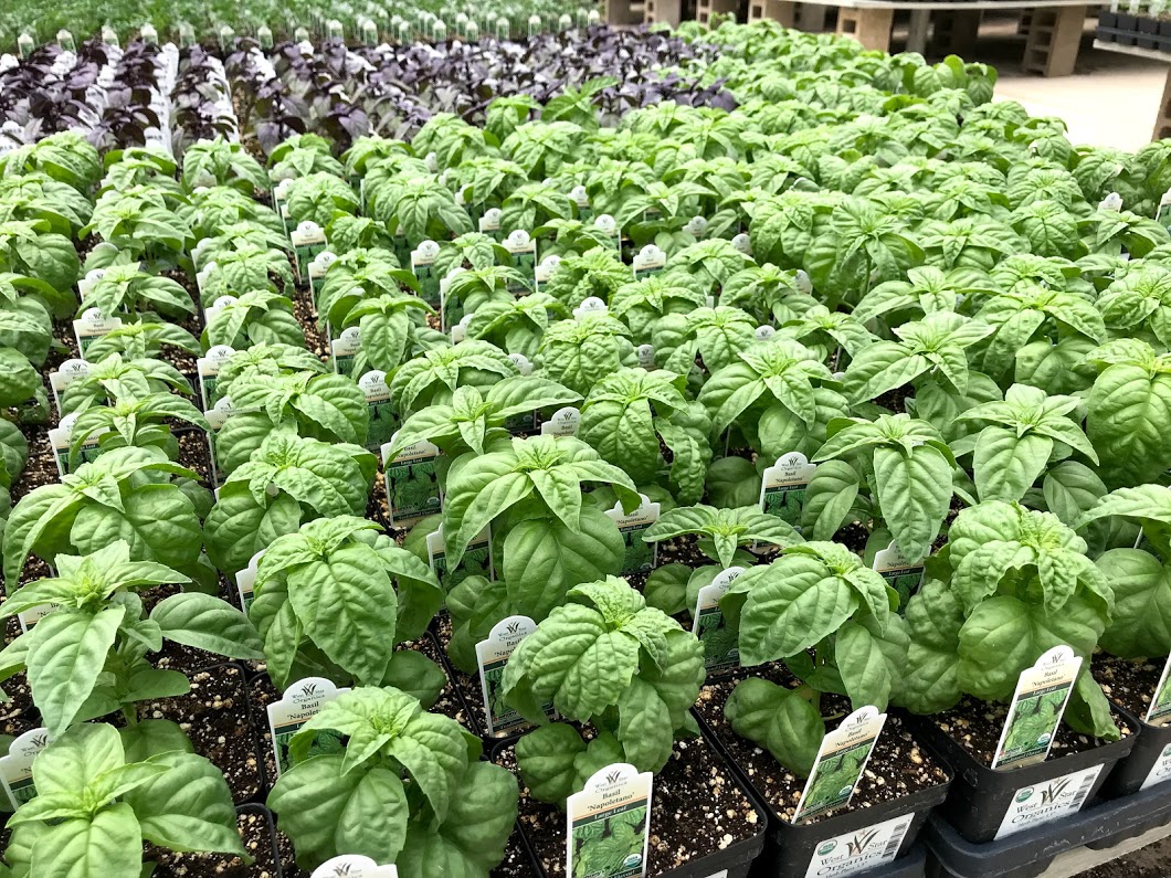 West Star Organics in Cottage Grove, WI (3)