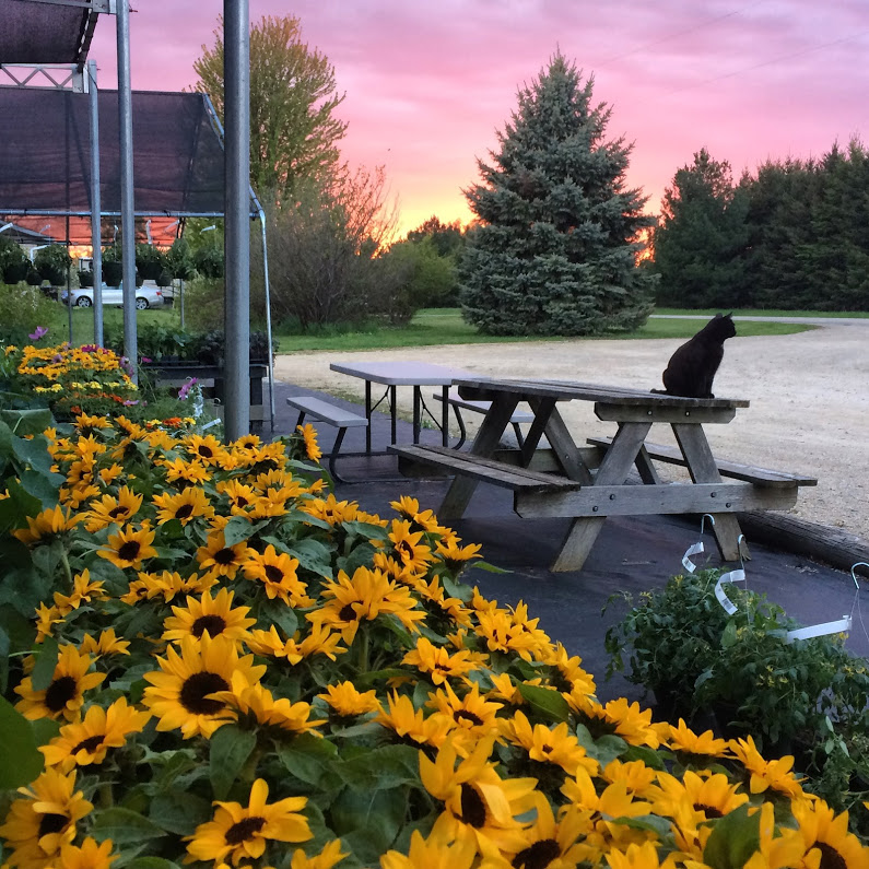 West Star Organics in Cottage Grove, WI (4)