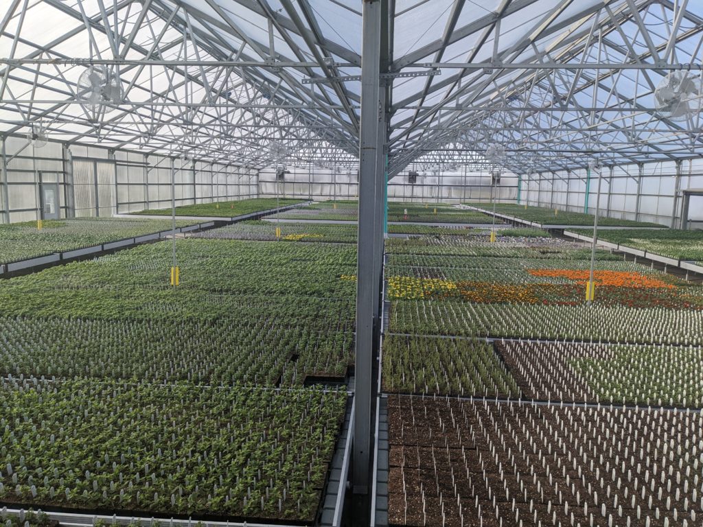 West Star Organics in Cottage Grove, WI (5)