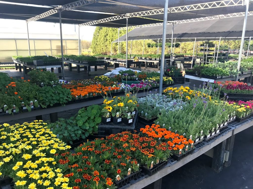 West Star Organics in Cottage Grove, WI (6)