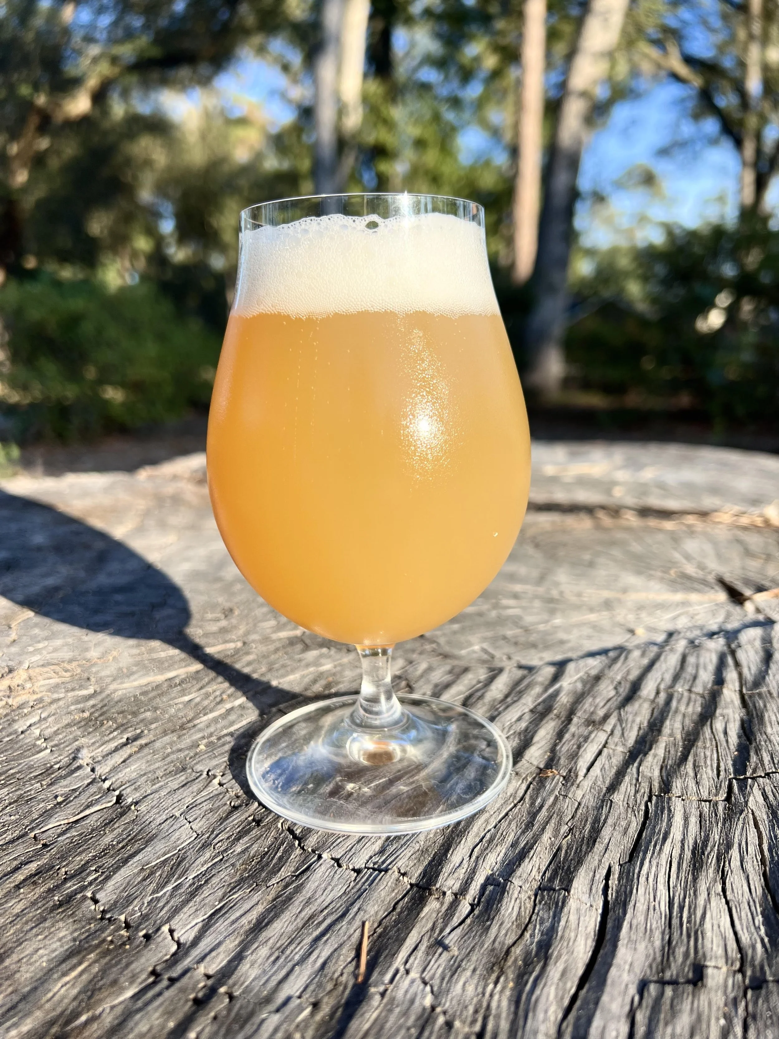 Smooth Brewing Company in Bainbridge, GA
