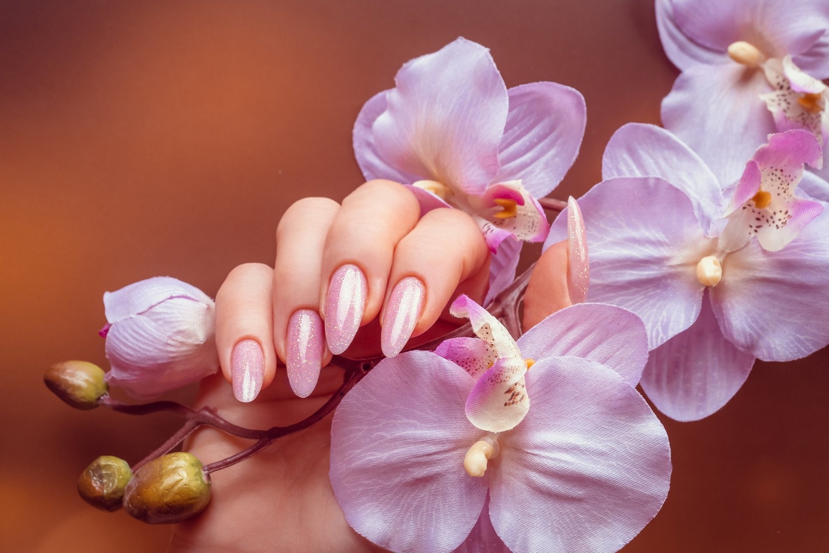 Perfection Nails in Garland, TX (2)