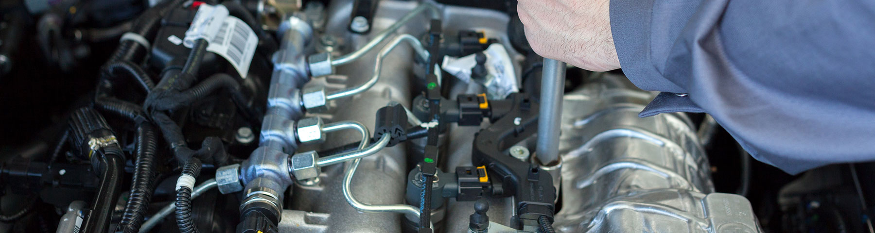 Lobo Automotive in Dallas, TX (2)