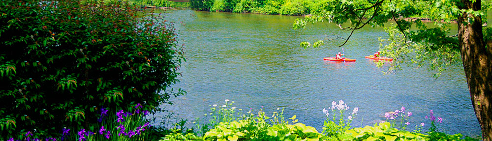 River's Edge Cafe Bed & Breakfast in Confluence, PA (6)